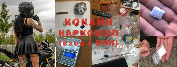ешки Алексин