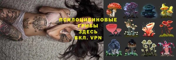 ешки Алексин